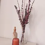Casa Do Beco * أنغرا دو إِراويزو